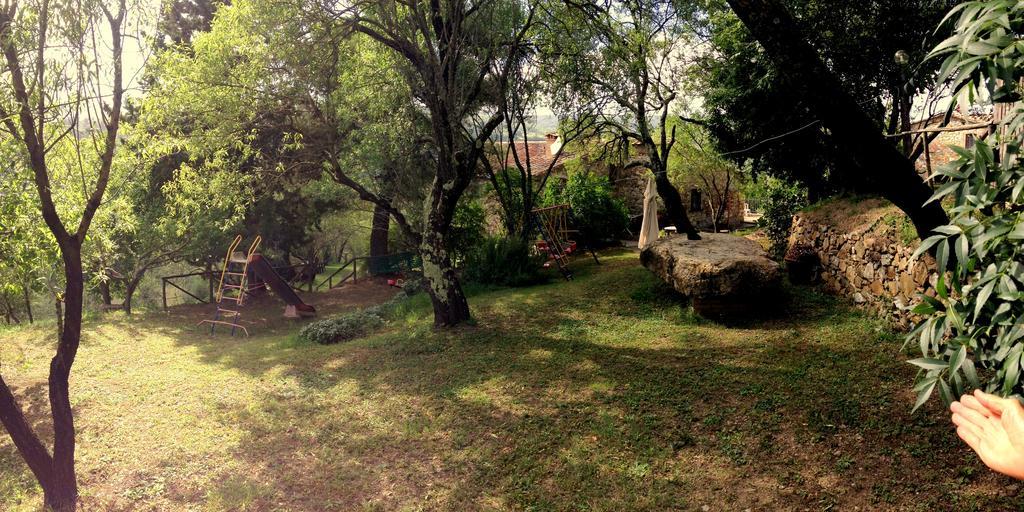 Agriturismo Le Cerinaie Кастельнуово-ди-Валь-ди-Чечина Экстерьер фото