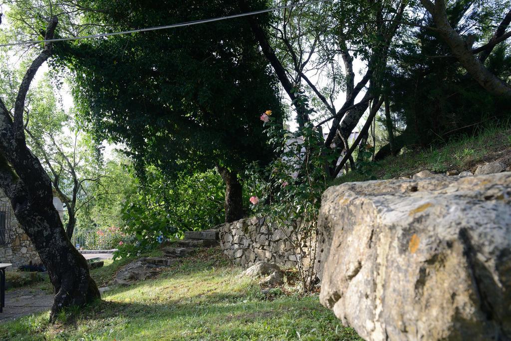 Agriturismo Le Cerinaie Кастельнуово-ди-Валь-ди-Чечина Экстерьер фото