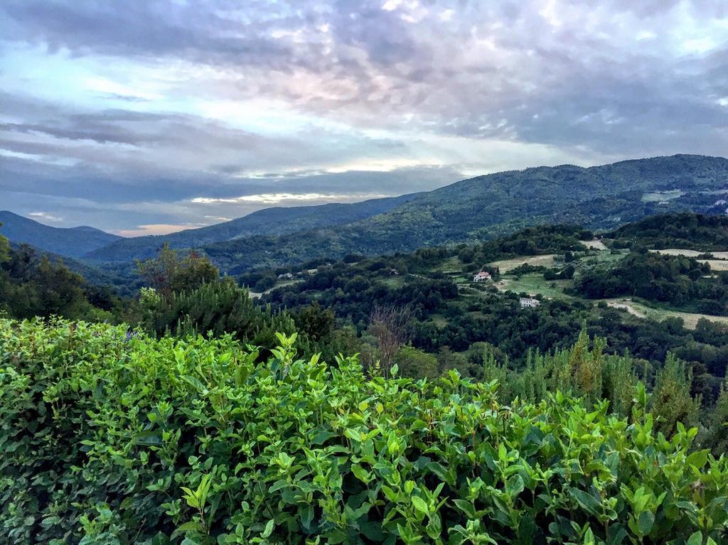 Agriturismo Le Cerinaie Кастельнуово-ди-Валь-ди-Чечина Экстерьер фото