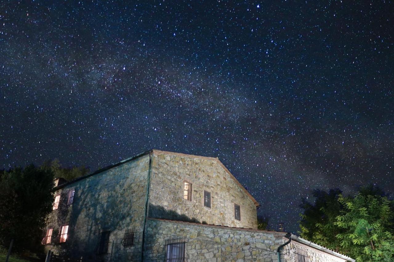Agriturismo Le Cerinaie Кастельнуово-ди-Валь-ди-Чечина Экстерьер фото